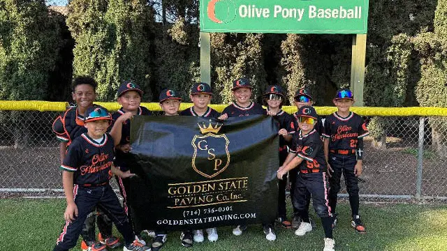 A Little Big Pony League Celebration!